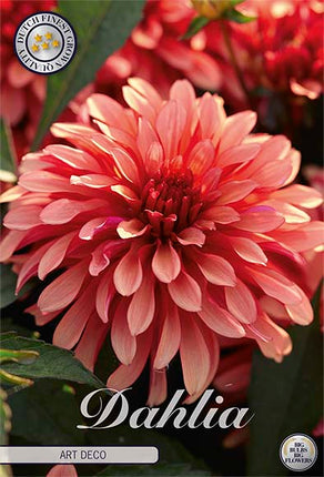 Dahlia Gallerie Art Deco 1-pack