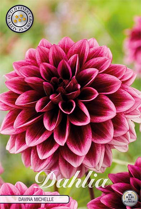 Dahlia Davina Michelle Dekorativ 1-pack NYHET